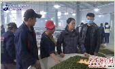 金寨县大湾村：绿色发展开启村民新生活 