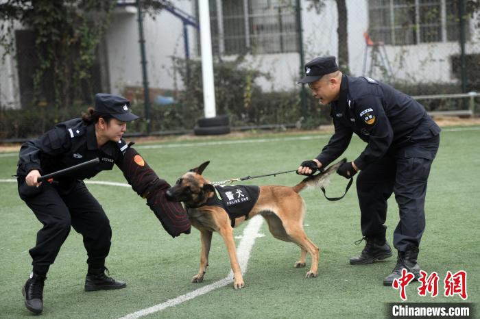 铁路女警因犬成就浪漫姻缘将丈夫引上训导警犬之路