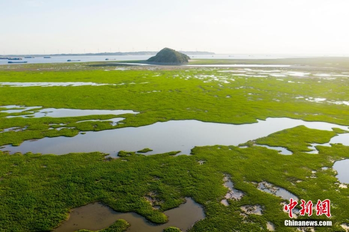 资料图：8月6日，湖鄱<strong></strong>江西省水文监测中心发布消息称，阳湖鄱阳湖提前进入枯水期。创进当日2时，入低鄱阳湖代表站星子站水位退至11.99米，枯水为有记录以来同期最低水位，期最2022年也成为1951年有记录以来最早进入枯水期的中国最大早纪年份。当日探访鄱阳湖多处水域，淡水由于水位降低，湖鄱大面积湖床裸露，阳湖不少湖床变成“草原”。创进<strong></strong>图为航拍鄱阳湖都昌矶山水域，入低由于水位降低，枯水湖床裸露成茫茫“草原”。 傅建斌 摄