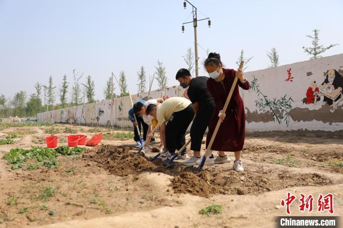 资料图：河北衡水利民路小学创设的“耕读苑”劳动基地，各班学生自己设计班牌，查资料，选择农作物种子。金莉莉 摄