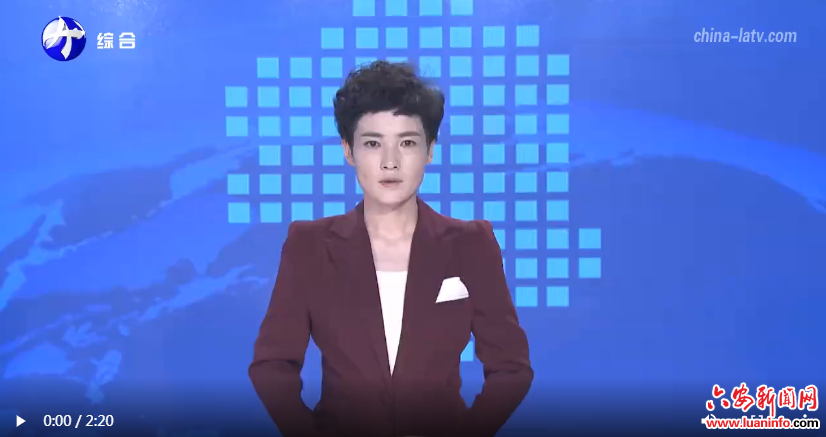 金寨：机采分选技术助力夏秋茶“身价倍增”