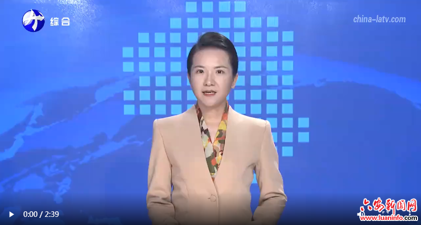 六安：多样化惠民活动绘就美好生活新画卷