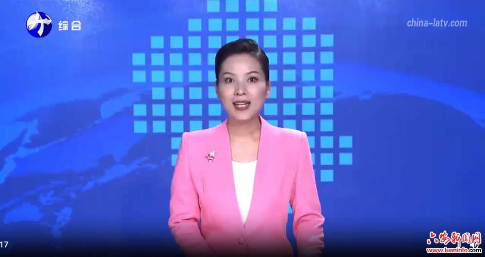 六安：推进和美乡村建设 打造宜居宜业美丽家园