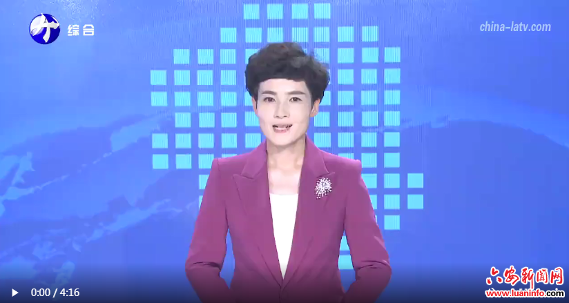  裕安区石板冲乡：“归雁经济”绘振兴图景