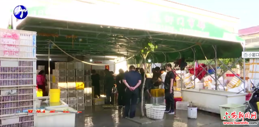 小龙虾产业“游”出发展加速度