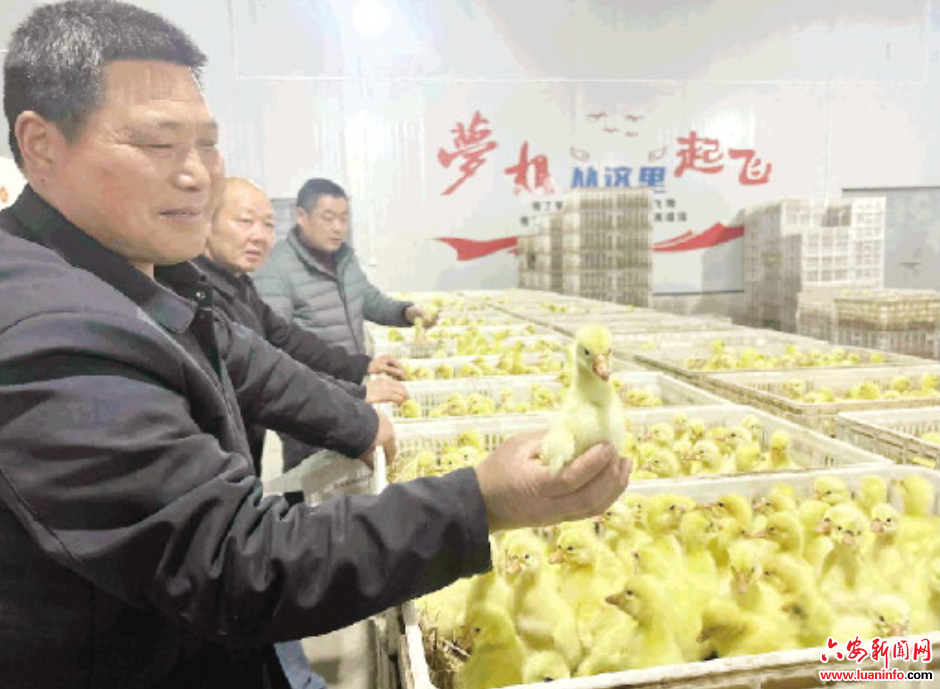 【2026新春走基层】从“原种基地”飞向全球市场