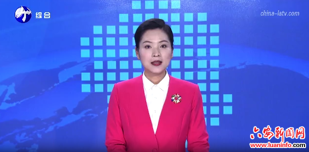 省委常委、统战部部长蔚盛斌在金寨县调研统战工作