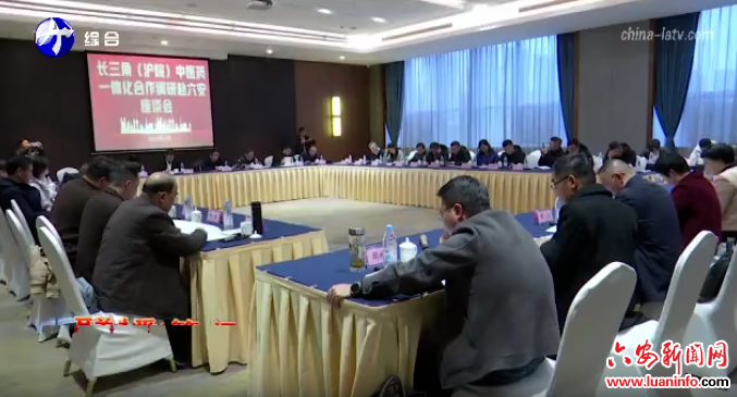 长三角（沪皖）中医药一体化合作调研六安座谈会召开