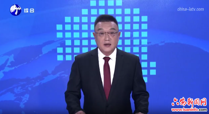 上海—六安科技合作交流活动在我市举办