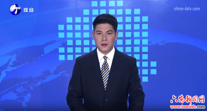 为六安“三地一区”建设汇聚民建智慧力量