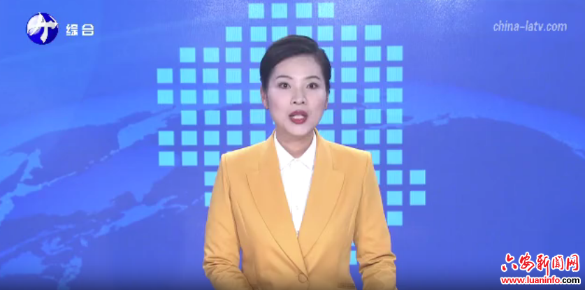 六安：强化要素供给 护航春茶生产