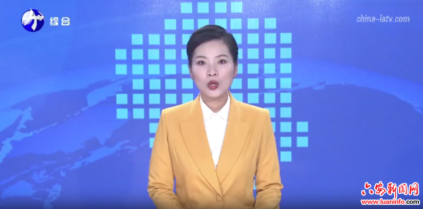 舒城：聚焦三大主导产业 推动工业经济高质量发展