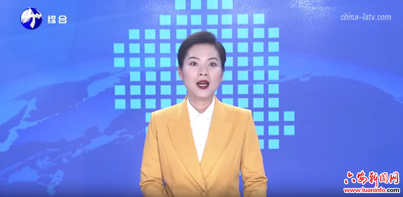 长三角制茶达人金寨“过招”