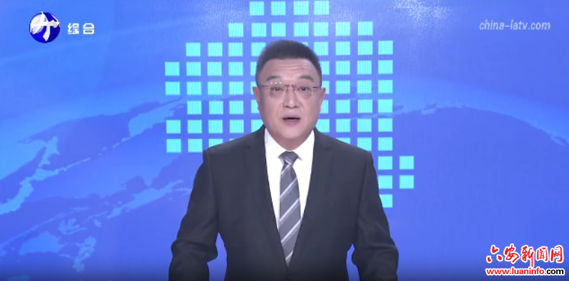 裕安区龙井村：村企联营点亮乡村振兴路