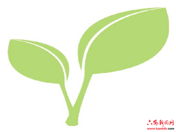19ca1b103c094efaa27a4948ce38db06.png