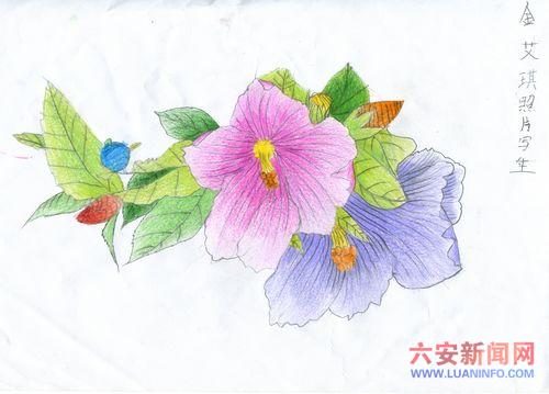 小记者作品
