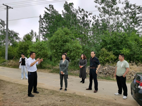 赖红梅深入县区开展重点项目督查确保工作落实到位