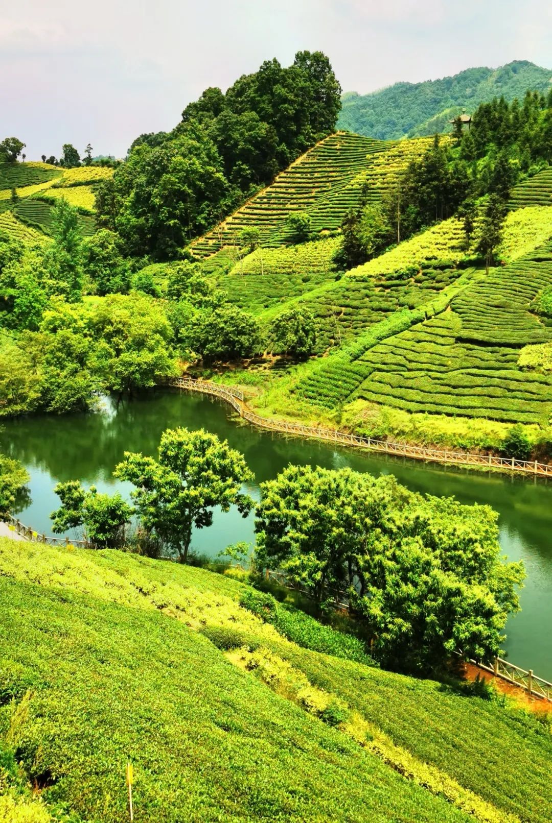 健身步道,观景亭榭,休闲长廊,亲水栈道,旅游码头,景观吊桥,茶谷小院