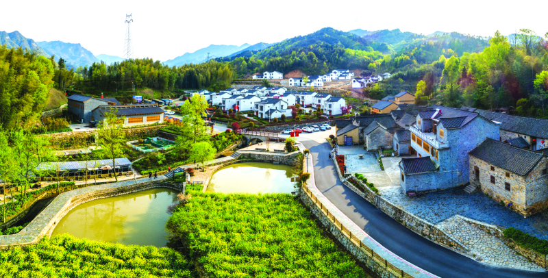 大湾村新貌.JPG
