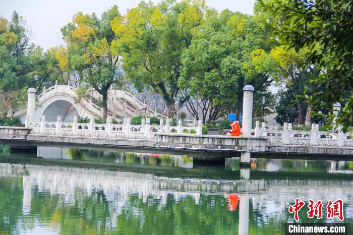 图为游客在九曲桥静谧享受阳光。 杨宗盛 摄
