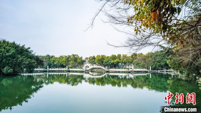 图为疫情期间的桂林榕湖风光。 杨宗盛 摄