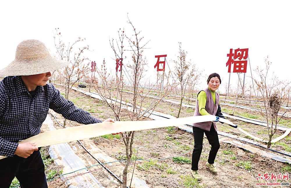推动农企复产 带动就业脱贫