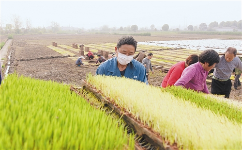 连年丰收库存充足 我国粮食供应能应对各种考验