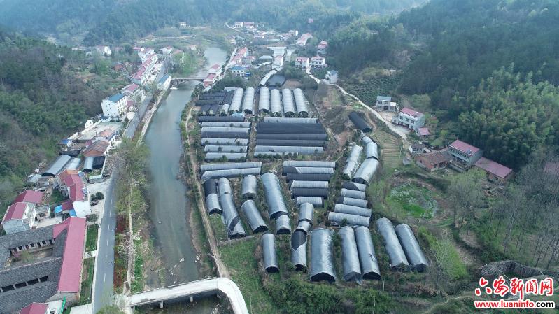 太平畈乡：多方助力贫困群众增收