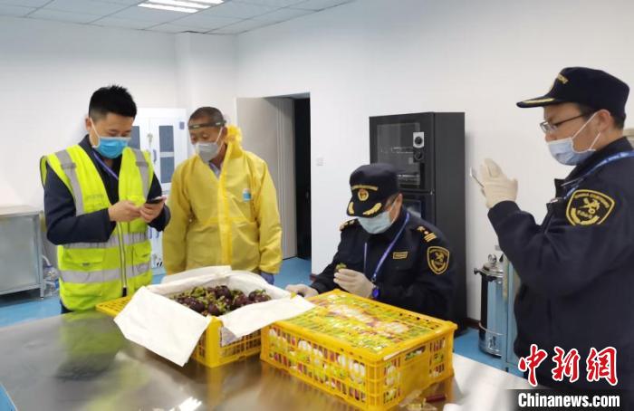 泰国15吨山竹“包机”运抵兰州 海关剖果检疫保舌尖安全