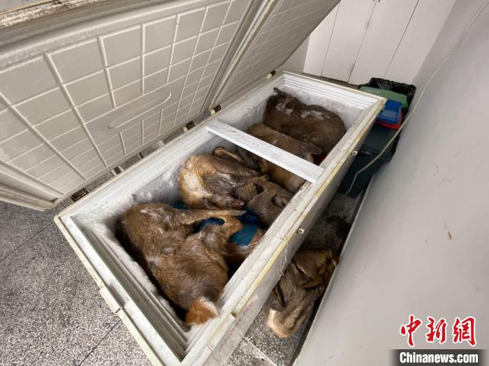浙江警方破获一起重大非法猎捕、收购、贩卖野生动物案