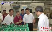 邓向阳到我市调研战略性新兴产业 