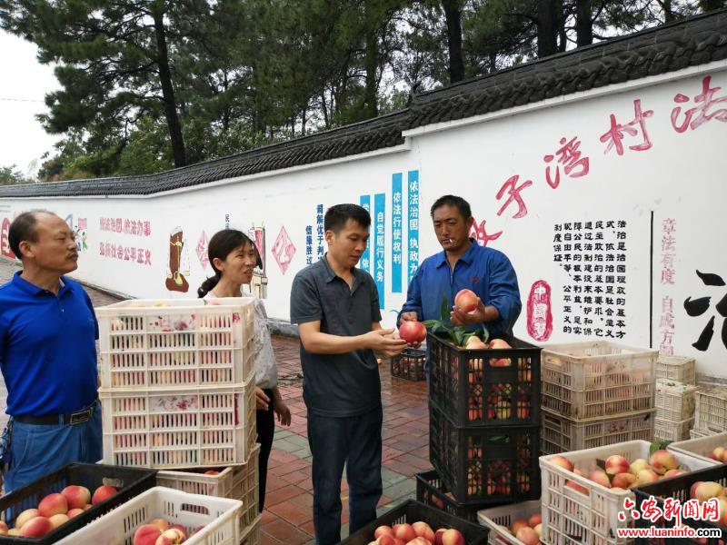 把身心都交给了乡亲