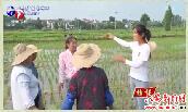 赵九梅：扎根乡野的九零后姑娘（下） 