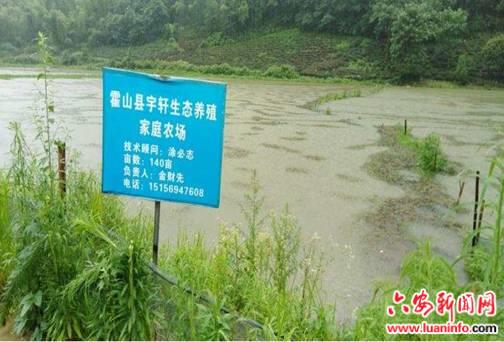 单龙寺镇：“深贫保”为贫困户“保驾护航”