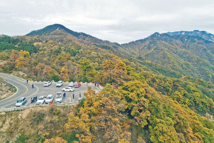 山中赏秋