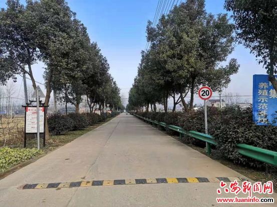 环境治理常态化 美丽乡村焕新颜
