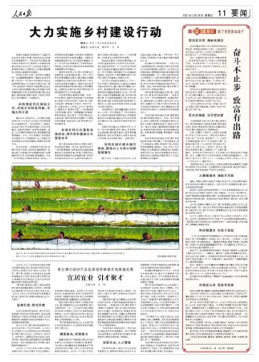 奋斗不止步 致富有出路（新春走基层·脱了贫更要加油干）