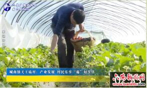 城南镇关王庙村：产业发展村民乐享“莓”好生活 