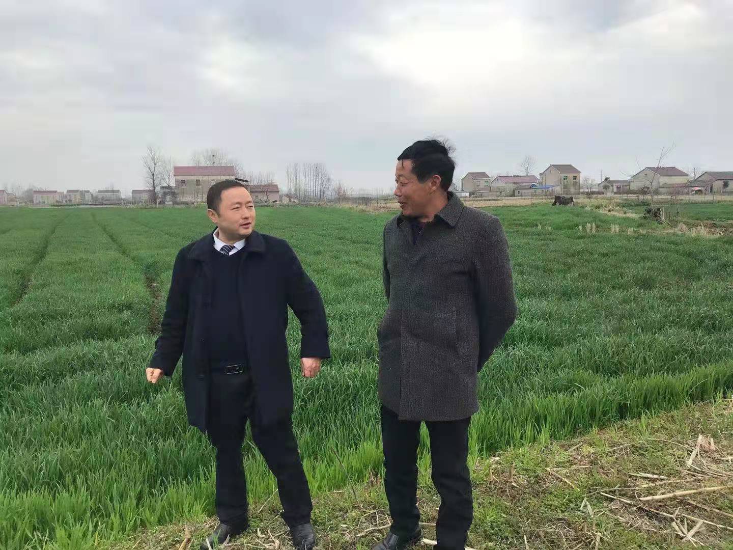六安农商银行：助农贷及时雨、助春耕解难题 