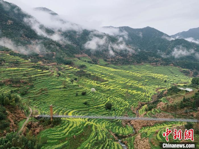 “中国最美乡村”江西婺源掘金“赏花经济”催热乡村旅游