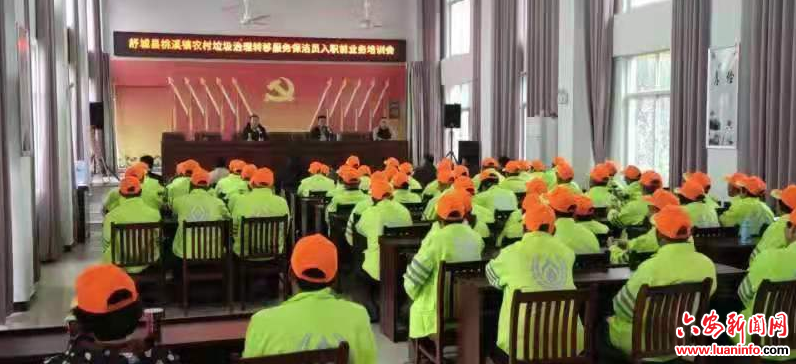 舒城县桃溪镇农村垃圾治理转移服务培训会召开