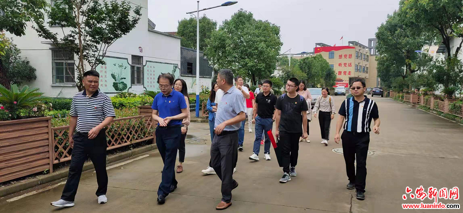 安徽农业大学部分教师到舒城县桃溪镇红光村开展研学活动