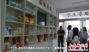 学习“七一”重要讲话聚力推进乡村振兴 