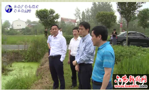 潘东旭在舒城县调研农业和粮食生产工作时强调坚决扛稳粮食安全重大政治责任不断巩固提升粮食安全保障水平