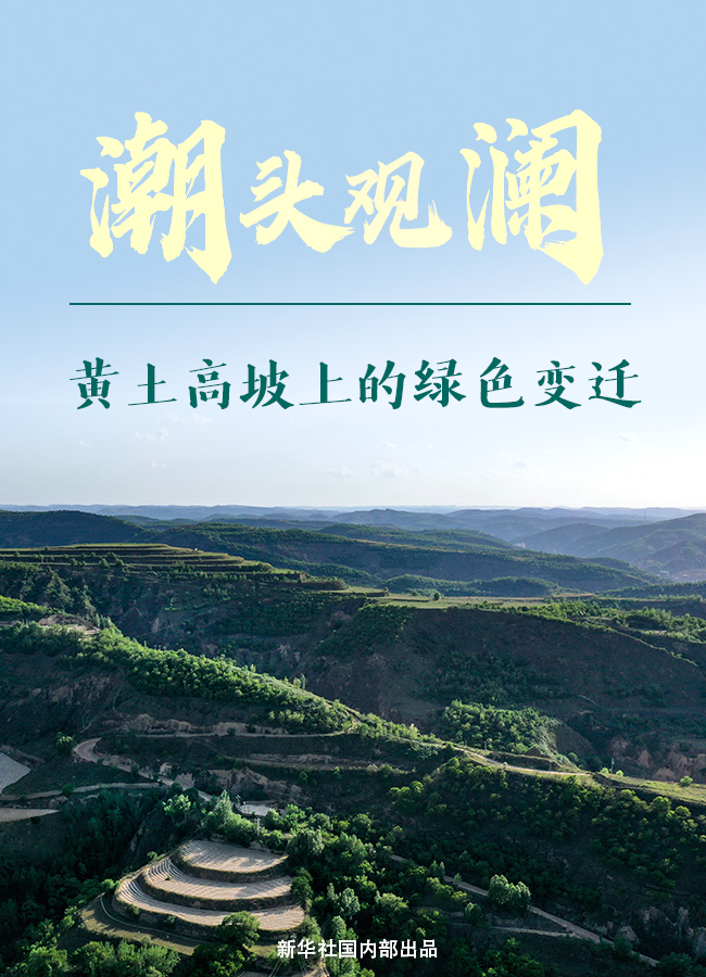 潮头观澜｜黄土高坡上的绿色变迁
