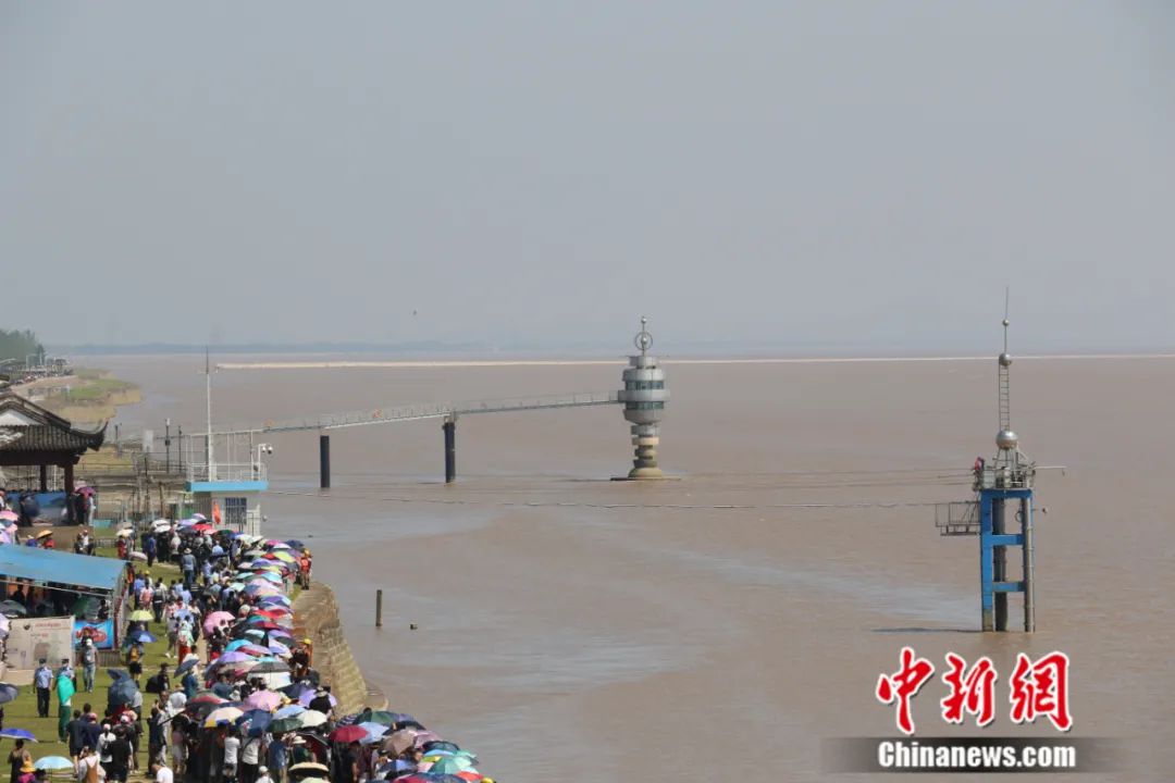 涨知识！钱江潮进入最佳观赏时刻，文化人如何观潮？