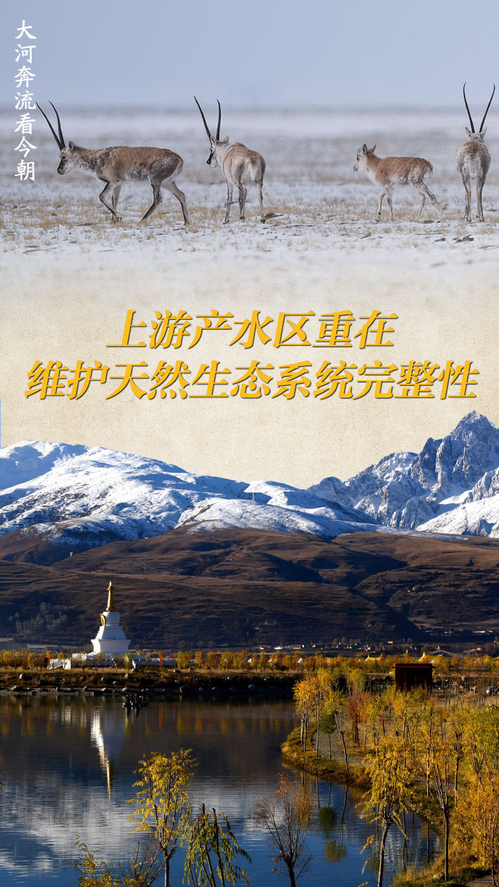 创意海报｜大河奔流看今朝