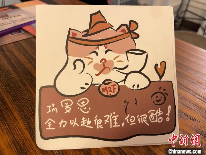 上海这只流浪猫火了!咖啡馆内“持证上岗”