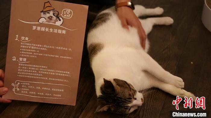 《罗恩“探长”生活指南》 徐明睿 摄