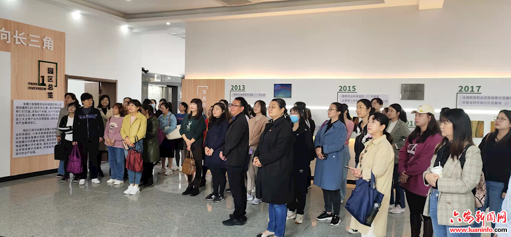 舒城县2021年妇联常（执）委、妇联干部培训班学员到桃溪开展现场教学
